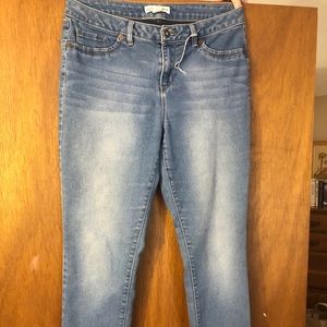 Blue Artisan NY Jeans